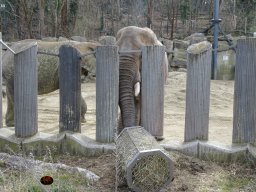 Tiergarten Schönbrunn am 12.03.2025
